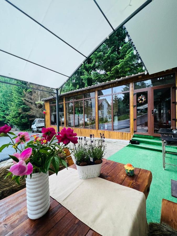 Cabana Din Poienita Poiana Brașov Zewnętrze zdjęcie