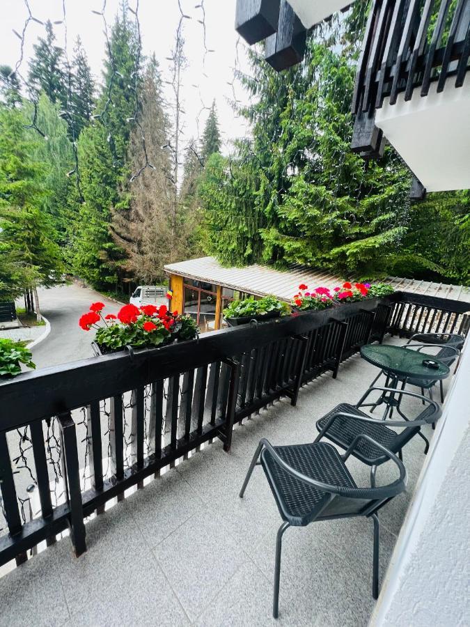 Cabana Din Poienita Poiana Brașov Zewnętrze zdjęcie