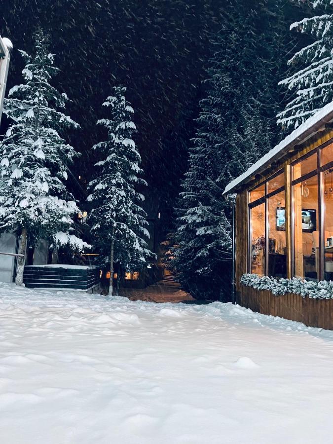 Cabana Din Poienita Poiana Brașov Zewnętrze zdjęcie