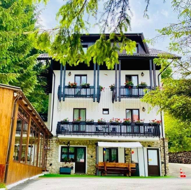 Cabana Din Poienita Poiana Brașov Zewnętrze zdjęcie